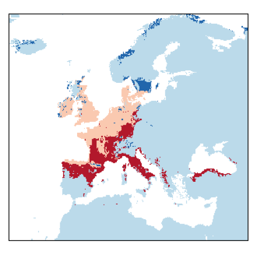 Lathyrus nissolia L.
