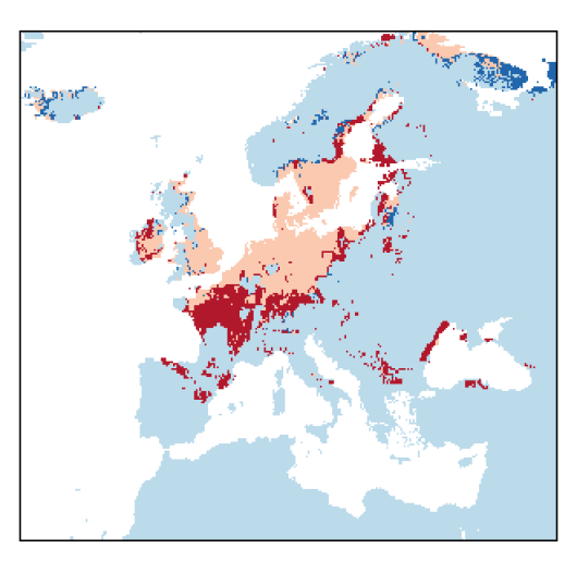 Lathyrus palustris L.