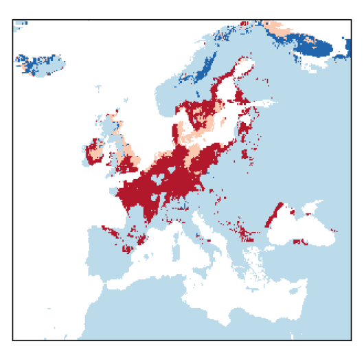 Lathyrus palustris L.