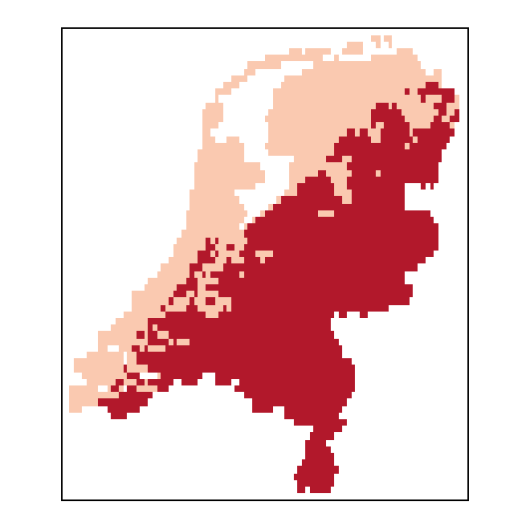 Lathyrus palustris L.