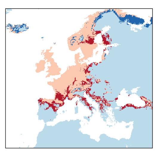 Lathyrus pratensis L.