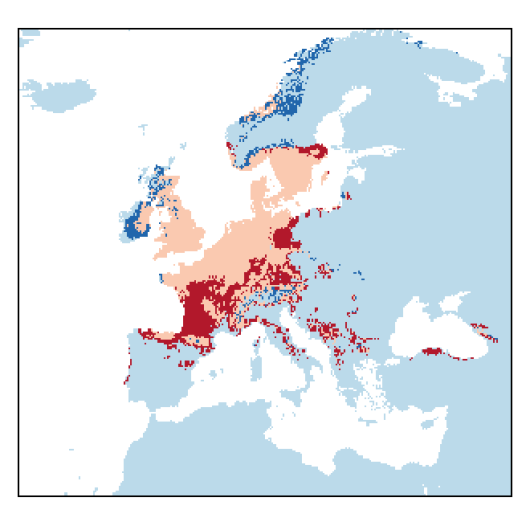 Lathyrus sylvestris L.