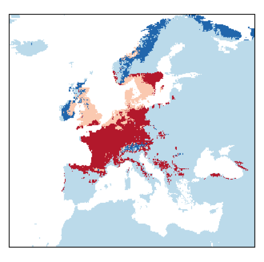 Lathyrus sylvestris L.