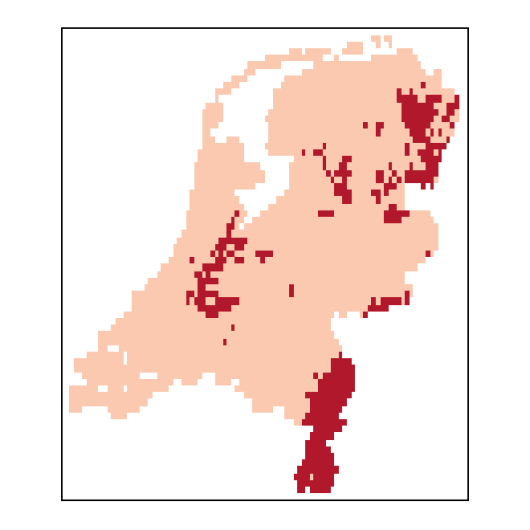 Lathyrus sylvestris L.