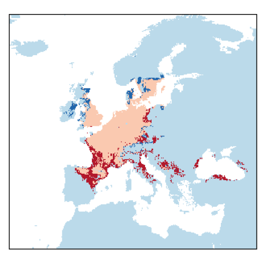 Lathyrus tuberosus L.
