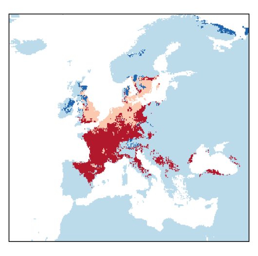 Lathyrus tuberosus L.