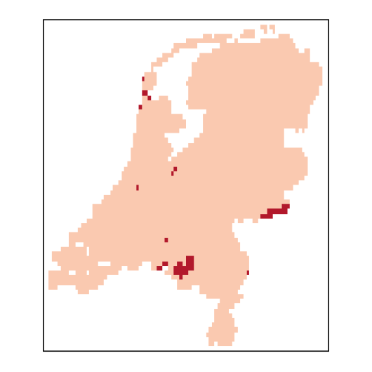 Lathyrus tuberosus L.