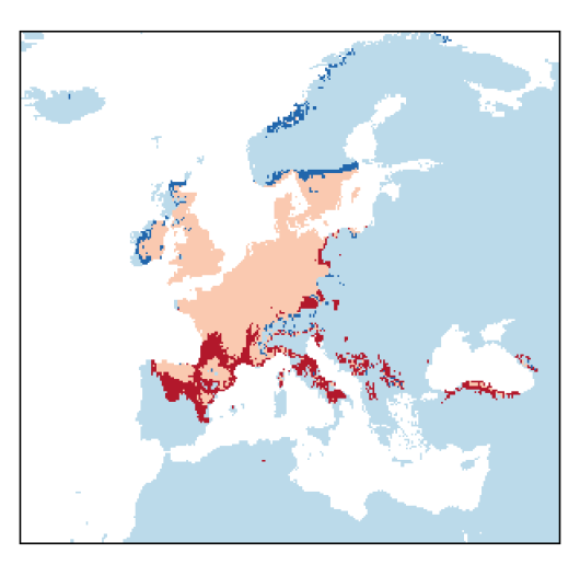 Lepidium campestre (L.) W.T. Aiton