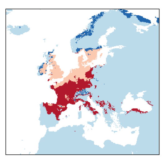 Lepidium campestre (L.) W.T. Aiton