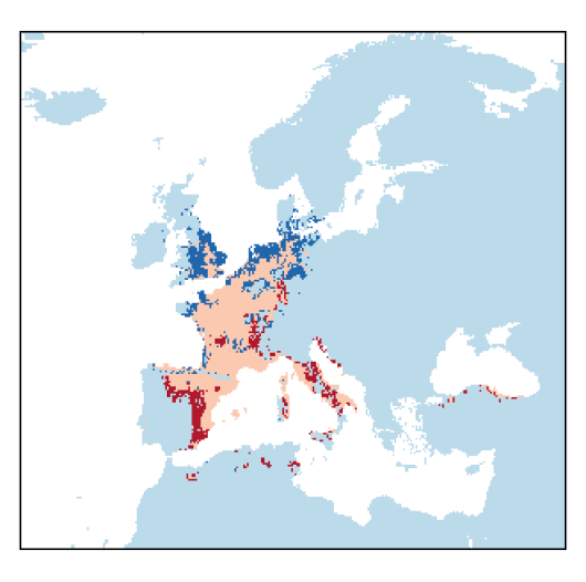 Lepidium graminifolium L.