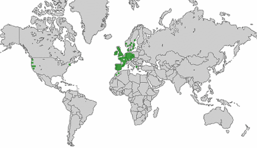 Lepidium heterophyllum Benth.