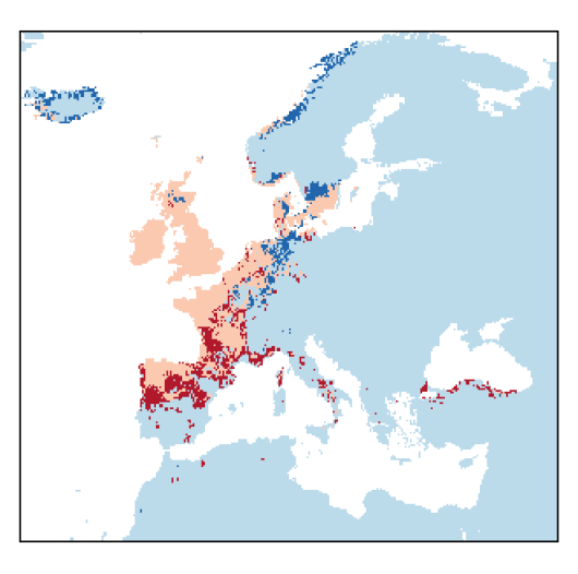Lepidium heterophyllum Benth.