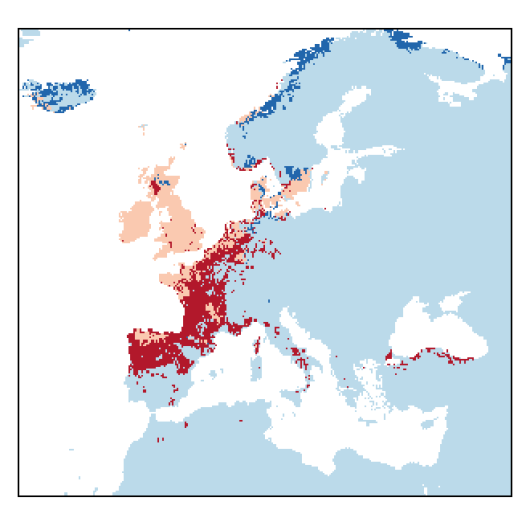 Lepidium heterophyllum Benth.