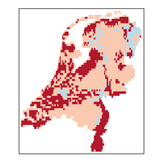 Lepidium heterophyllum Benth.