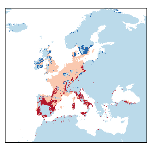 Lepidium latifolium L.