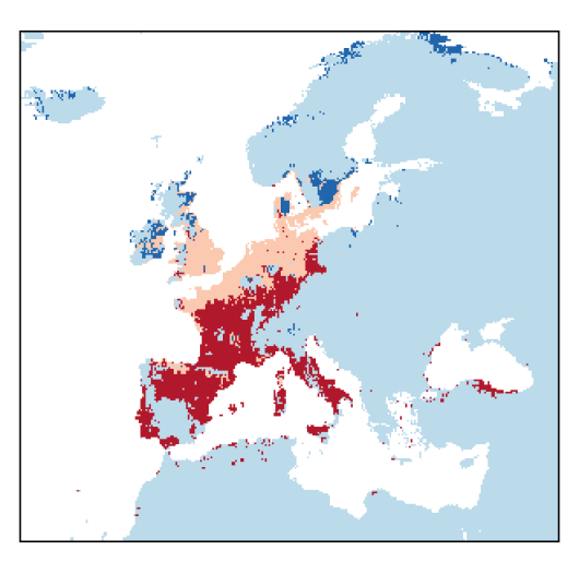 Lepidium latifolium L.