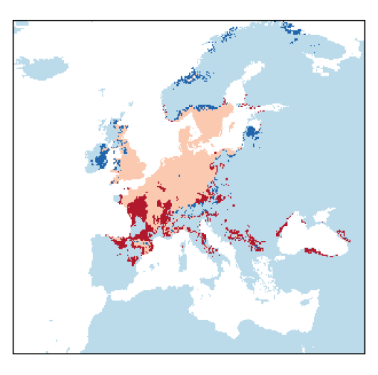 Lepidium ruderale L.