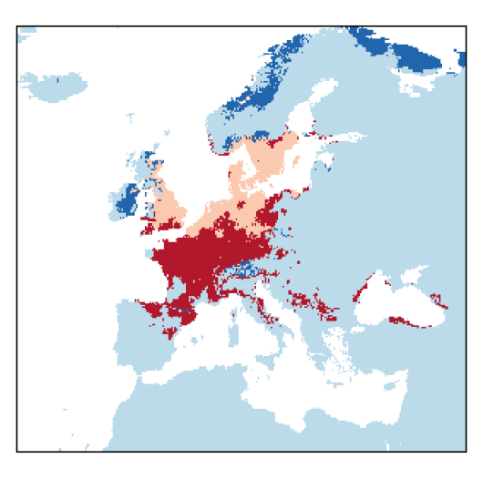 Lepidium ruderale L.