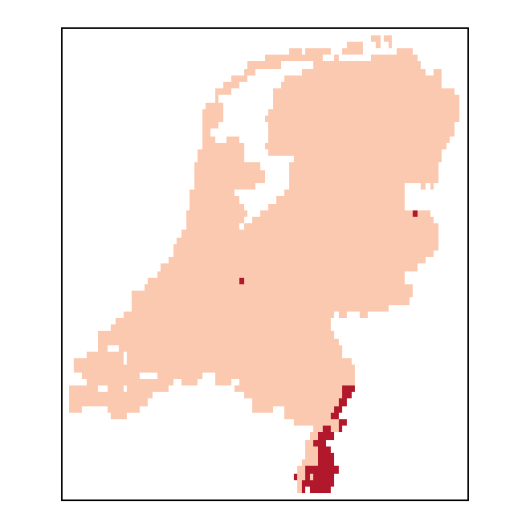 Lepidium ruderale L.