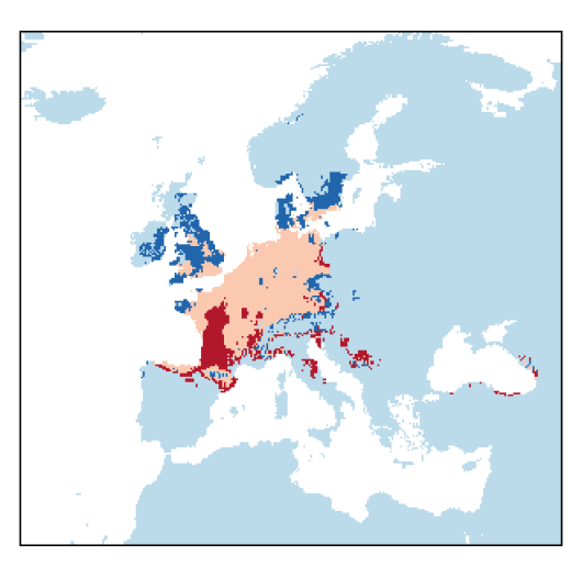 Lepidium virginicum L.