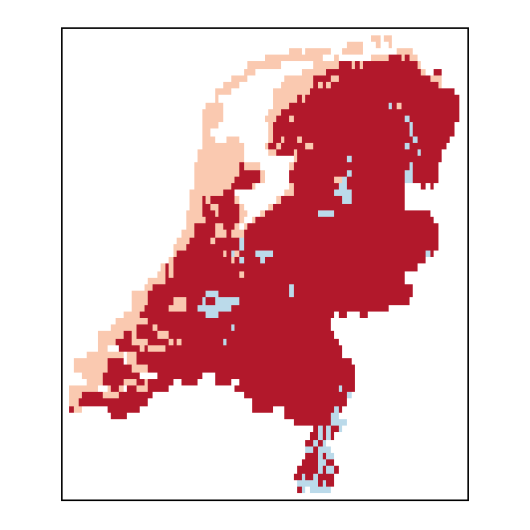 Leymus arenarius (L.) Hochst.