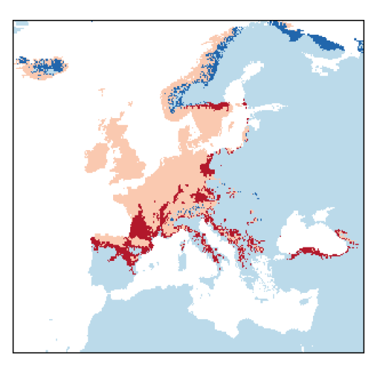 Linum catharticum L.