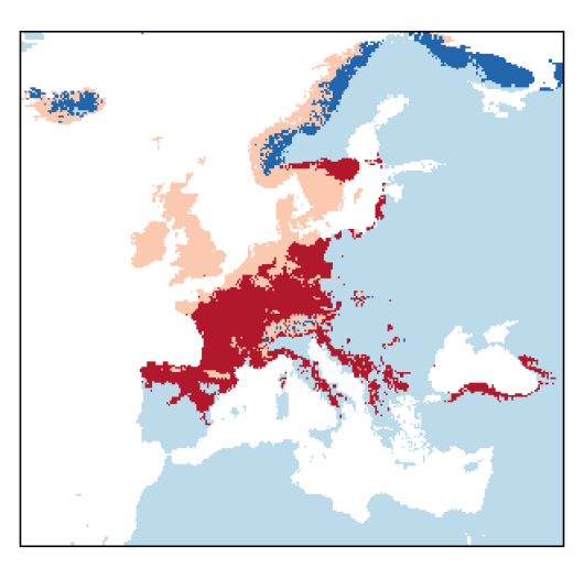 Linum catharticum L.
