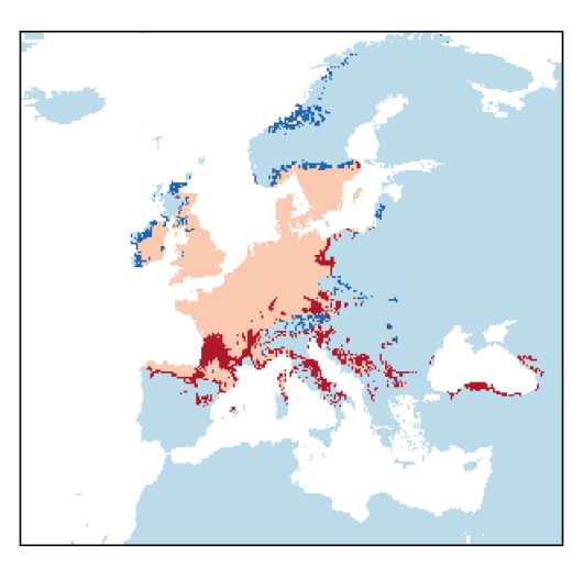 Lipandra polysperma (L.) S. Fuentes-B., Uotila & Borsch