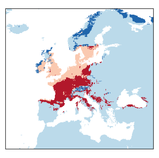 Lipandra polysperma (L.) S. Fuentes-B., Uotila & Borsch