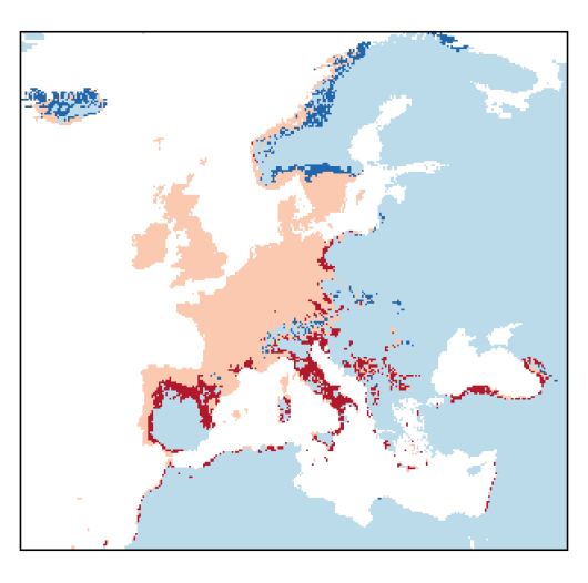 Lolium multiflorum Lam.