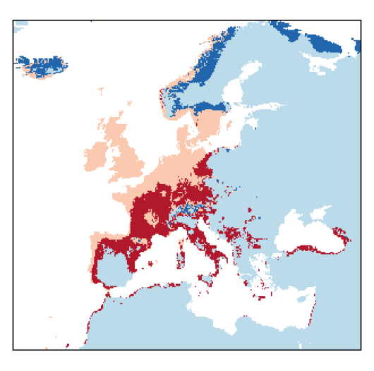 Lolium multiflorum Lam.
