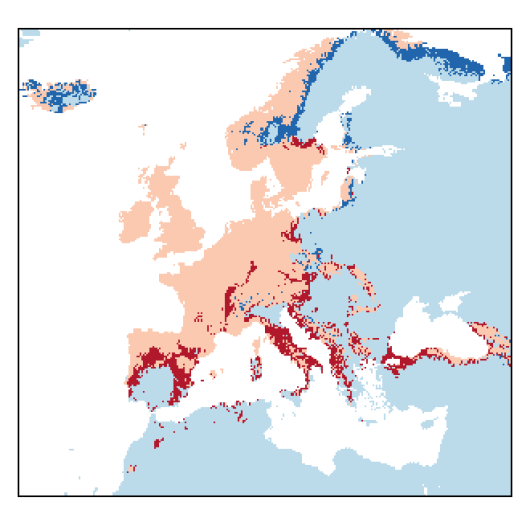 Lotus corniculatus var. corniculatus