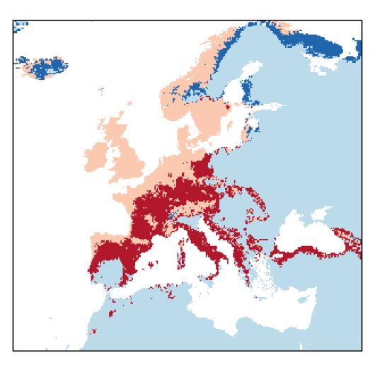 Lotus corniculatus var. corniculatus