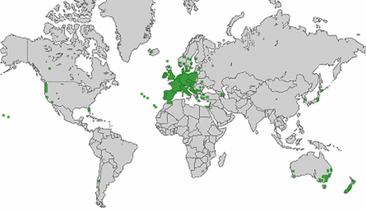 Lotus pedunculatus Cav.