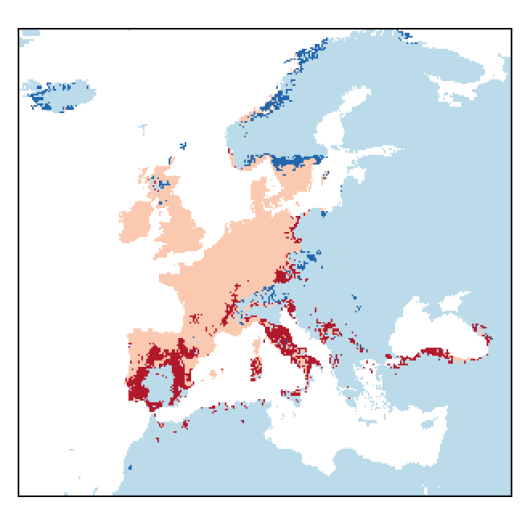 Lotus pedunculatus Cav.