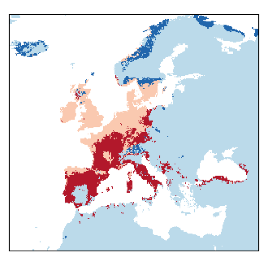 Lotus pedunculatus Cav.