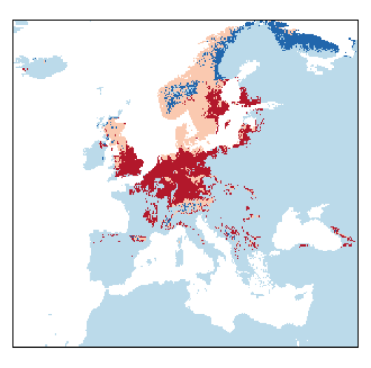 Lupinus polyphyllus Lindl.