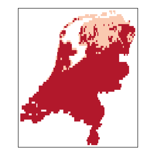 Lupinus polyphyllus Lindl.