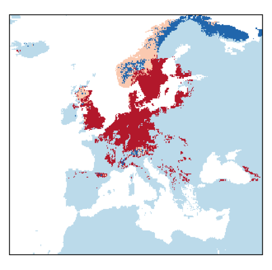 Lupinus polyphyllus Lindl.