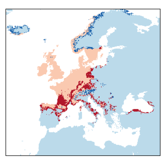 Malus sylvestris Mill.