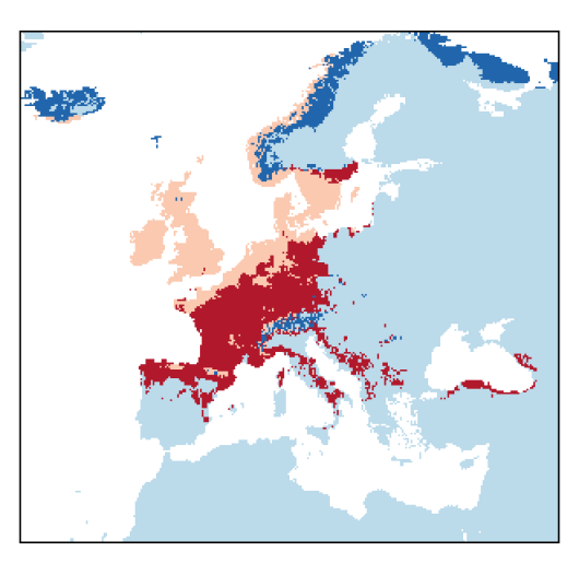 Malus sylvestris Mill.