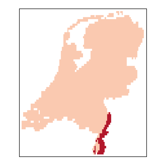 Malus sylvestris Mill.