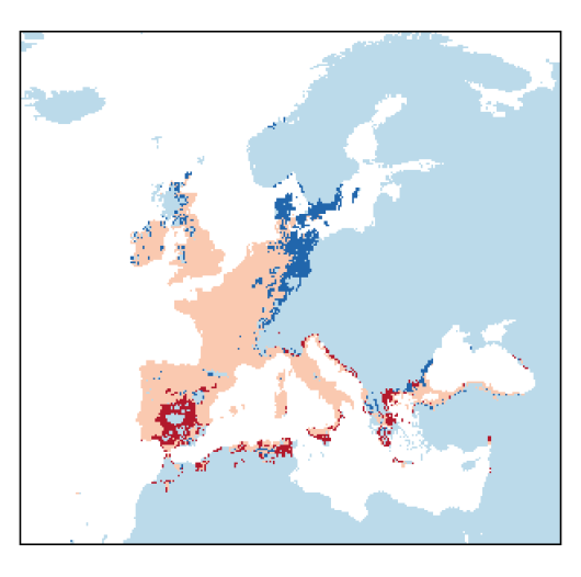 Medicago arabica (L.) Huds.