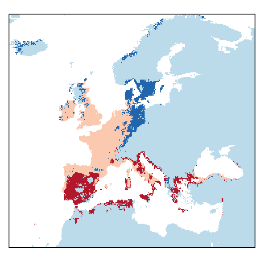 Medicago arabica (L.) Huds.