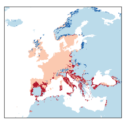 Medicago lupulina L.