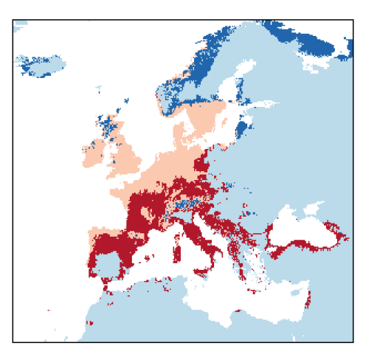 Medicago lupulina L.