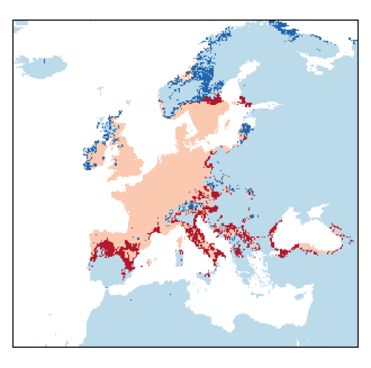 Melilotus albus Medik.