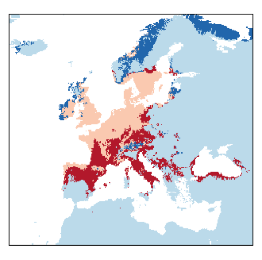 Melilotus albus Medik.