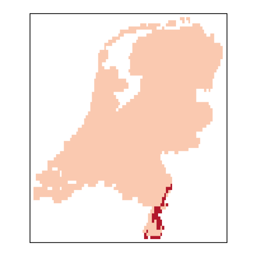 Melilotus officinalis (L.) Pallas