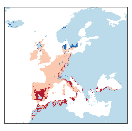 Mentha suaveolens Ehrh.